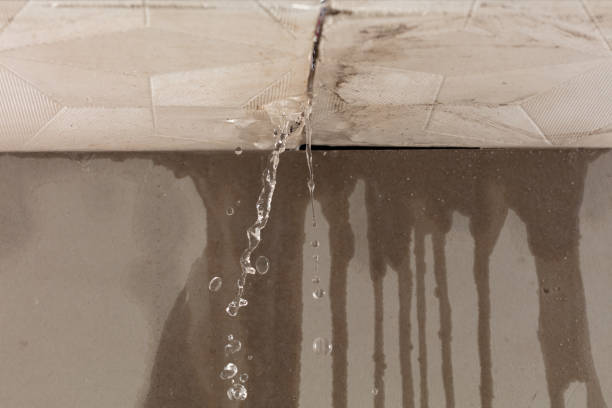 Professional Sewage Cleanup technician working in Mayville, ND